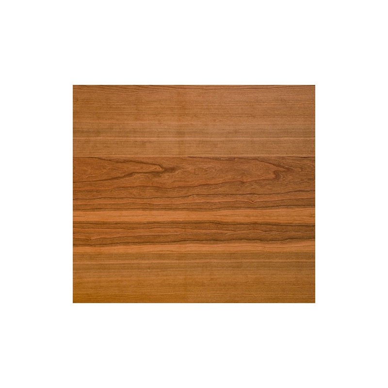 Czereśnia Amerykańska