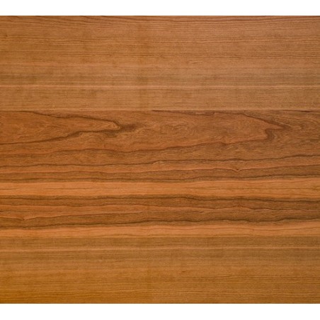 Czereśnia Amerykańska