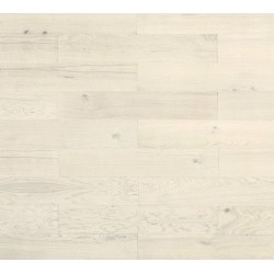 Dąb Kość Słoniowa