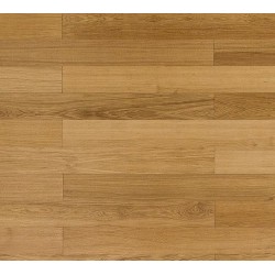 Dąb Klasyczny (Dąb Angielski)