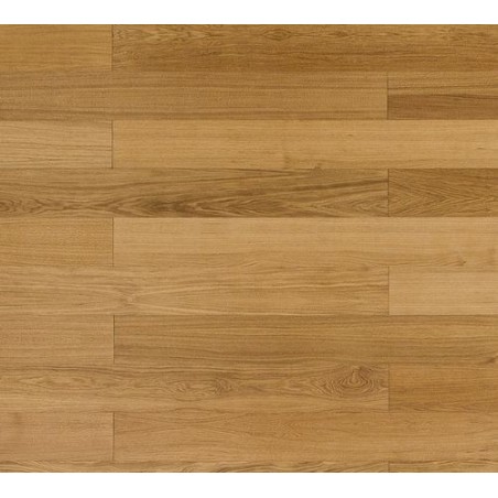 Dąb Klasyczny (Dąb Angielski)