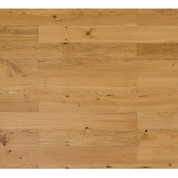 Dąb Rustykalny (Dąb Prowansalski)