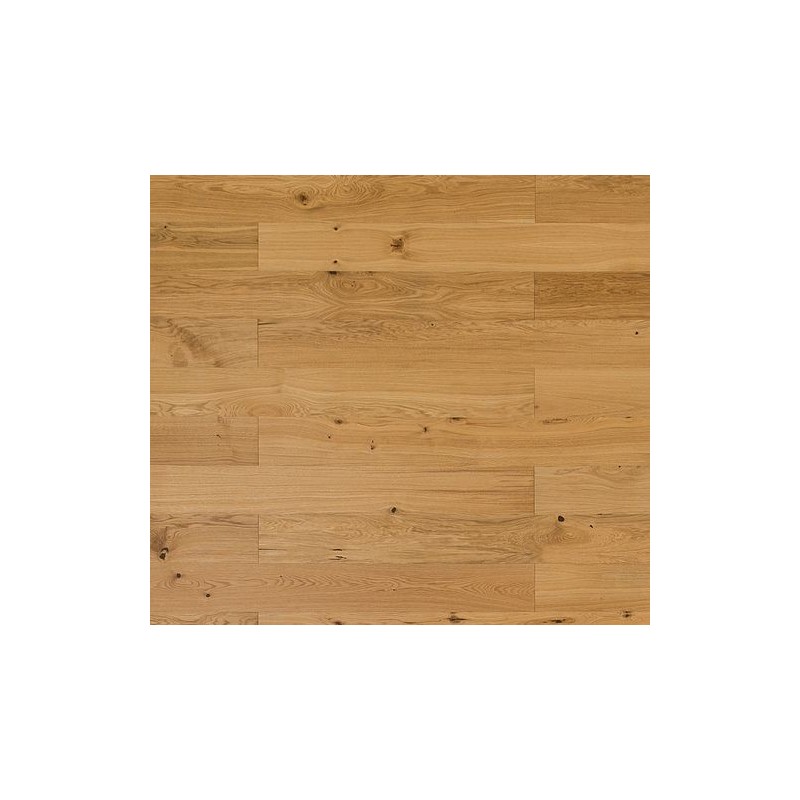 Dąb Rustykalny (Dąb Prowansalski)