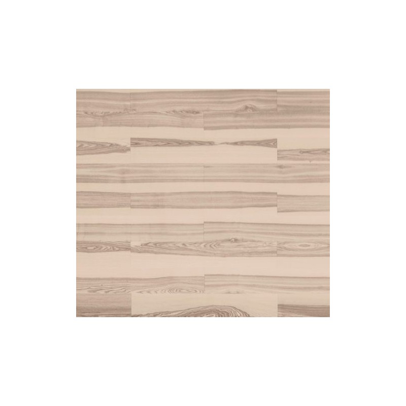 Jesion Kość Słoniowa