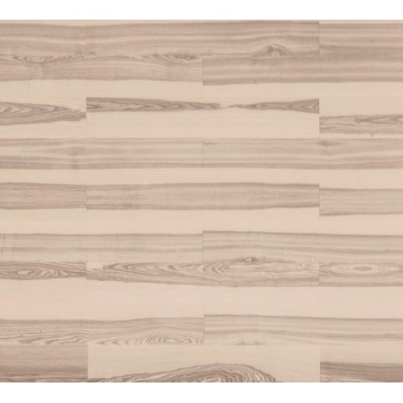 Jesion Kość Słoniowa