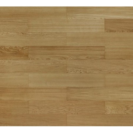 Dąb Klasyczny (Dąb Gala)